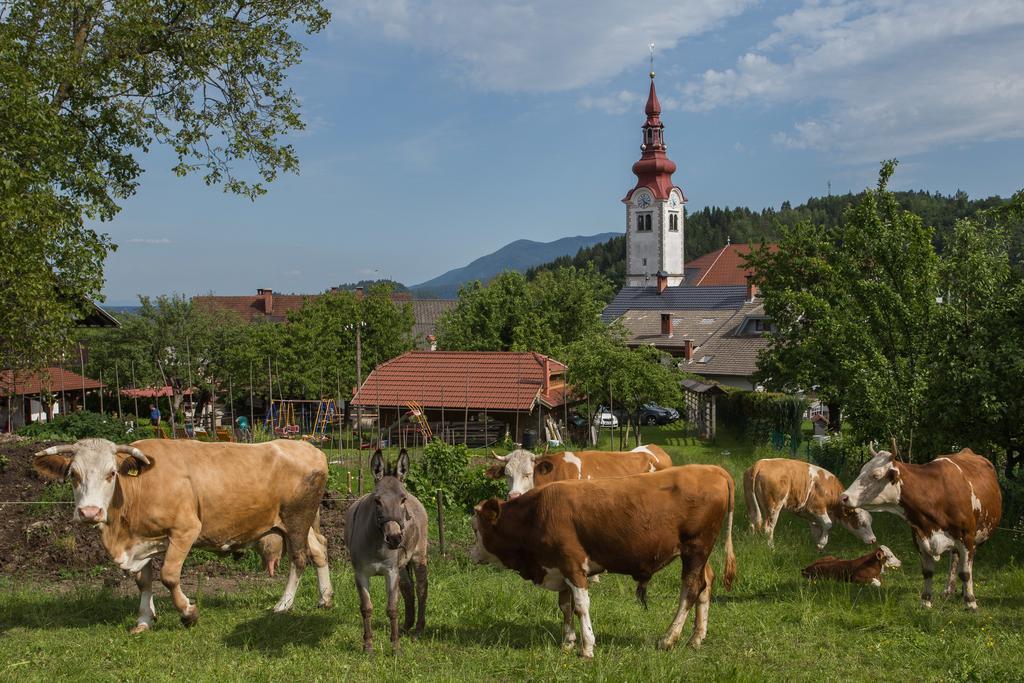 הוילה בלד Bio Turisticna Kmetija Frcej-Zupan מראה חיצוני תמונה