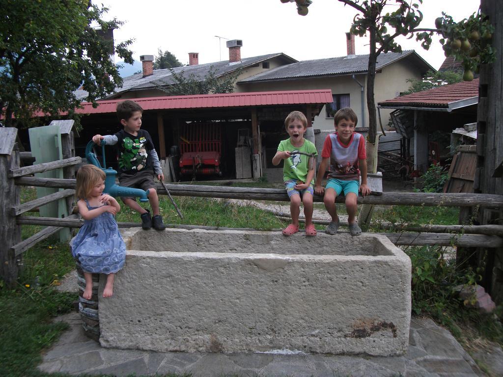 הוילה בלד Bio Turisticna Kmetija Frcej-Zupan מראה חיצוני תמונה